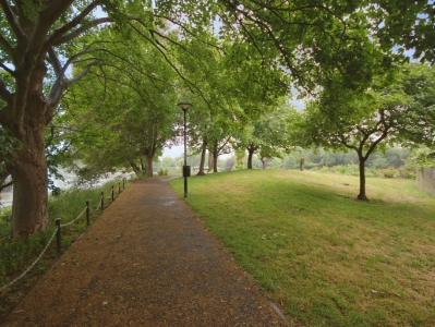 Picture 15